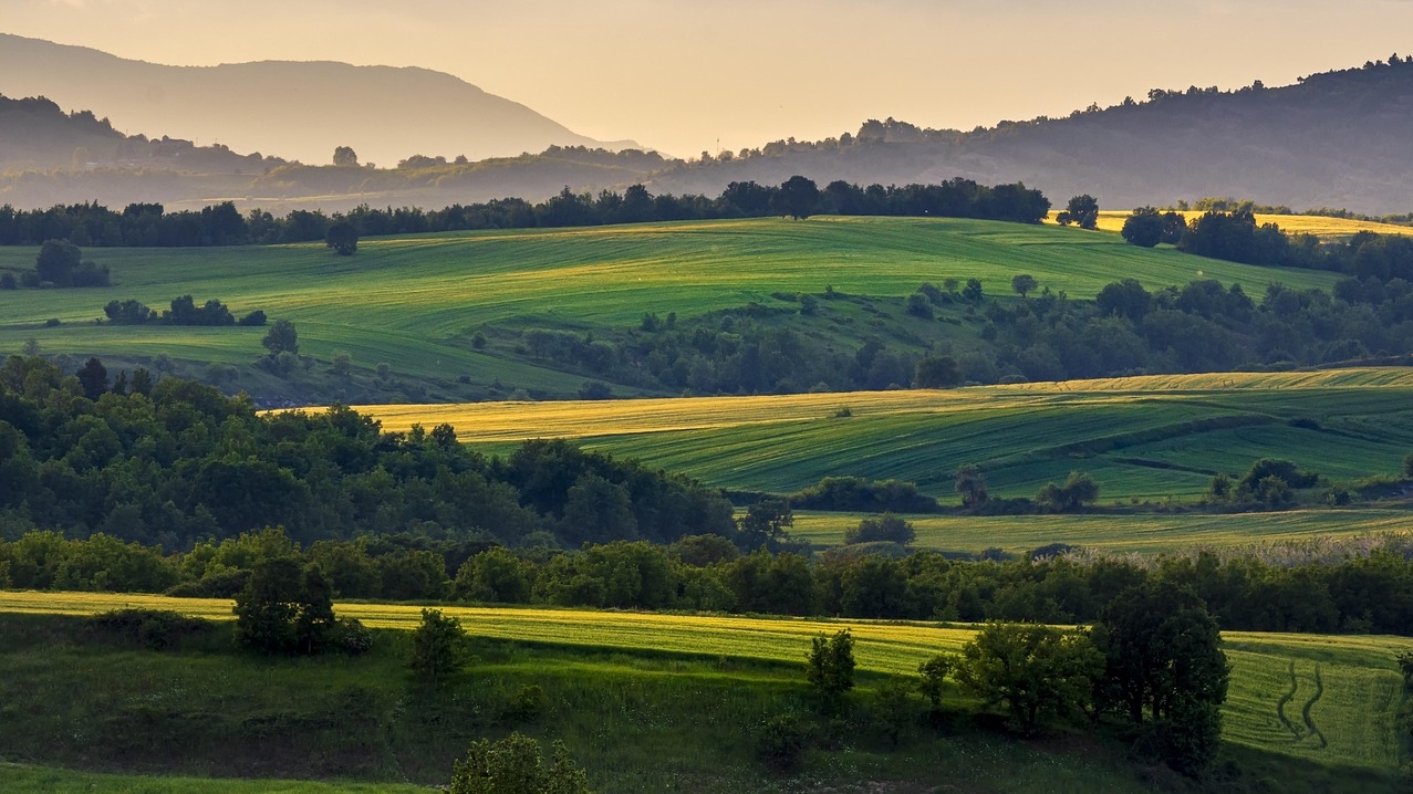 Wheat-fields_Foto di John da Pixabay