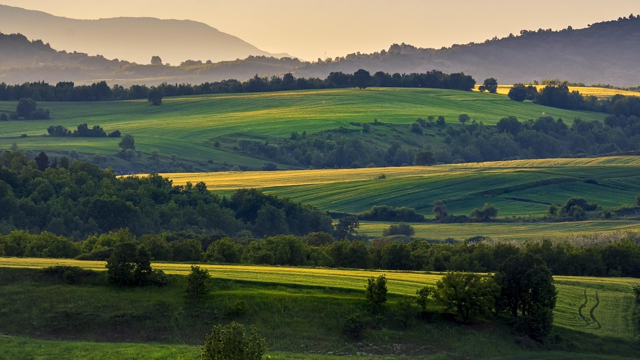 wheat-fields_Foto di John da Pixabay